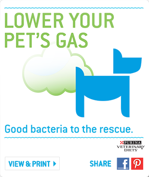 Purina Veterinary Services