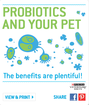 Purina Veterinary Services