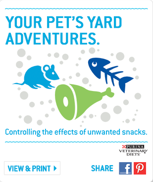 Purina Veterinary Services